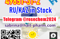 49851-31-2 2-Bromovalerophenone CAS 49851-31-2 Supply from Russia mediacongo